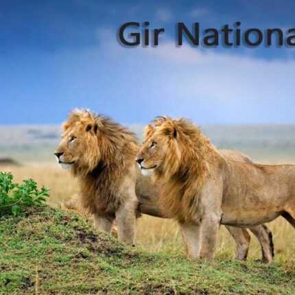 Mumbai - Goa - Gujarat (30 Jours)