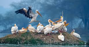 L'incroyable nord de l'Inde (21 Jours)